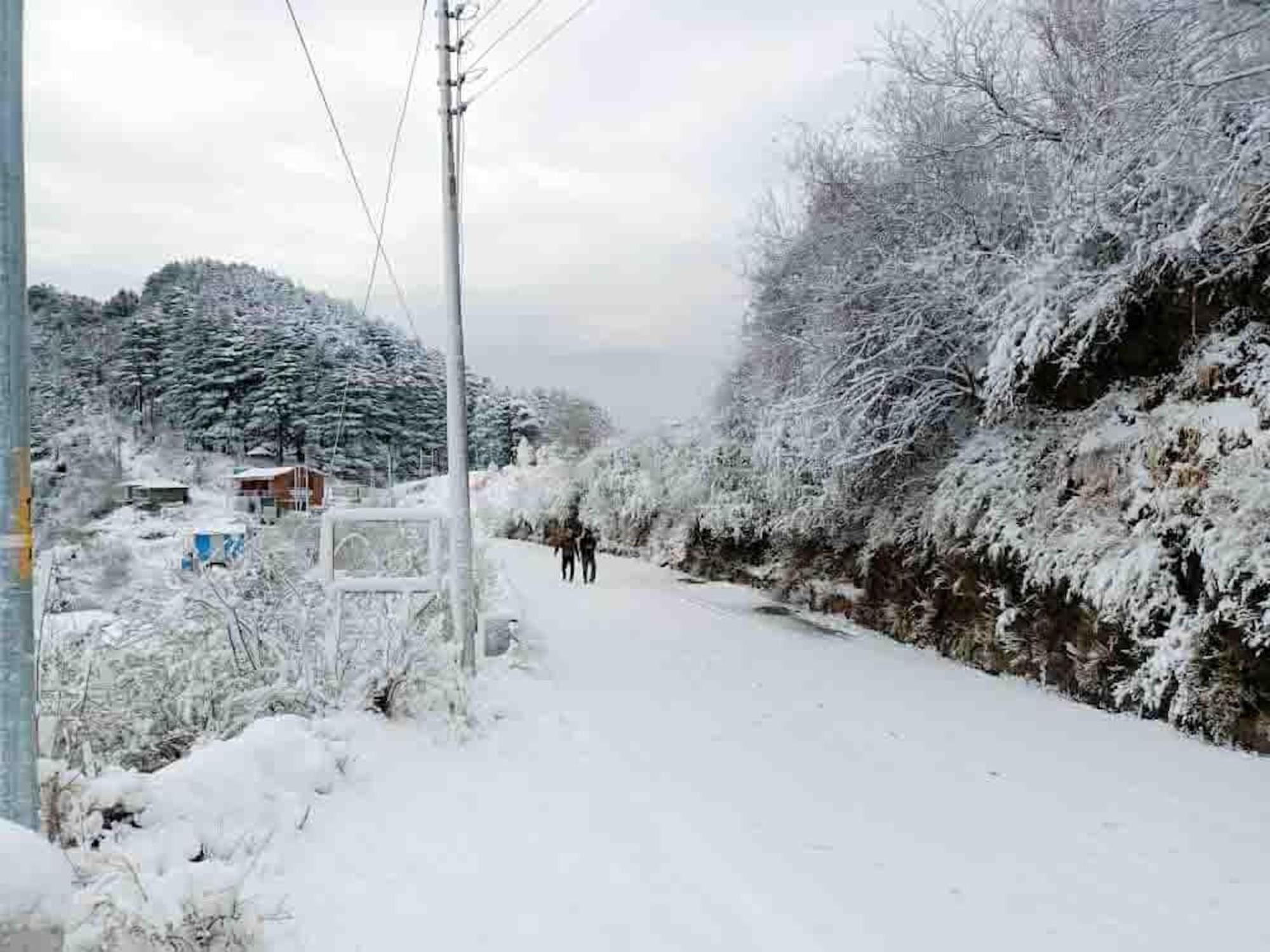 La Riqueza Kanatal #Mountain View Rooms # Near To Kodia Forest Jungle Saafari # 05 Mins From Adventure Activities Exteriör bild