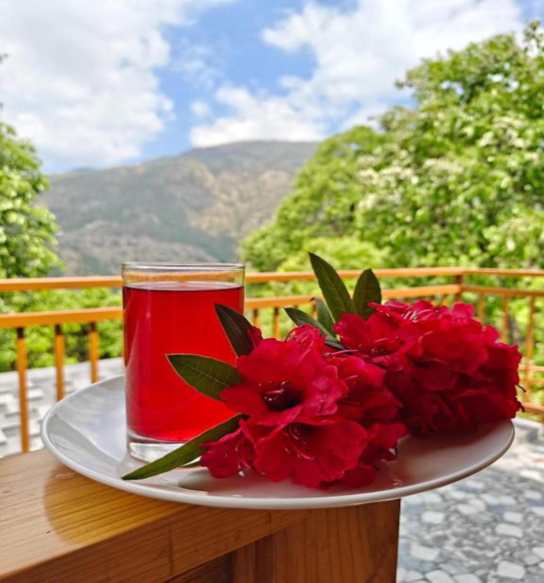 La Riqueza Kanatal #Mountain View Rooms # Near To Kodia Forest Jungle Saafari # 05 Mins From Adventure Activities Exteriör bild